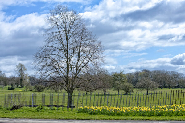 St Clements - Quintessentially British 3 Bedroom House - Fully Serviced Accommodation