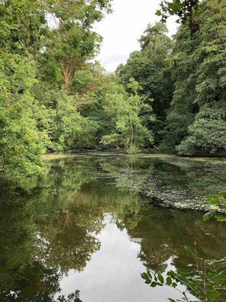 Modern & Stylish 3 Bedroom House with parking - Fully Serviced Accommodation