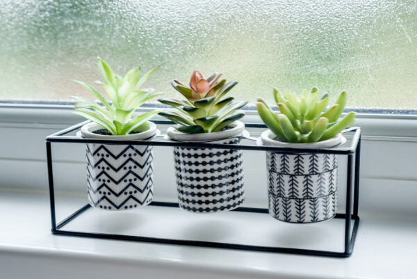 Fully Serviced 3-Bedroom Home with parking & garden